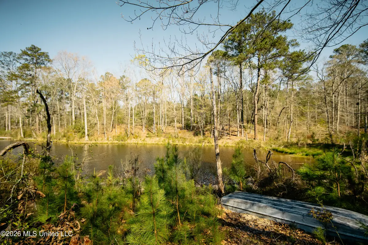 646 Harrisville Road, Braxton, MS 39044 - #1