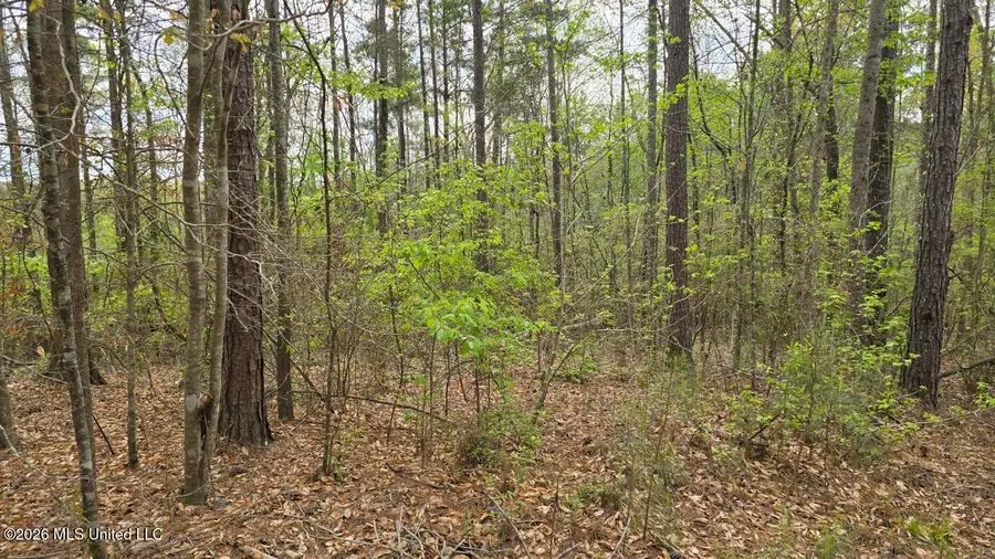 0 SE Gill Drive, Brookhaven, MS 39601 - #3