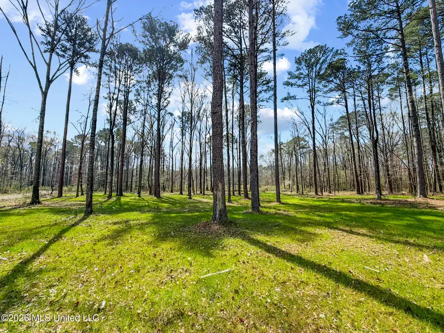 Brookhollow Lot 6 Court, Flowood, MS 39232 - #3