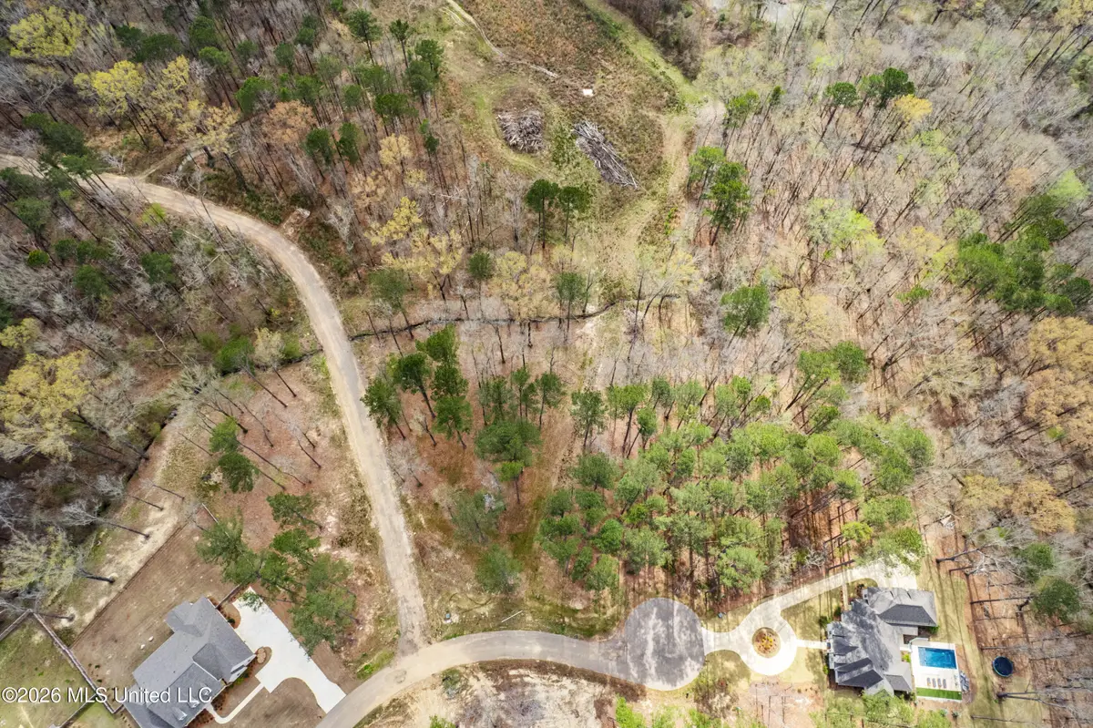 Brookhollow Lot 7 Court, Flowood, MS 39232 - #1