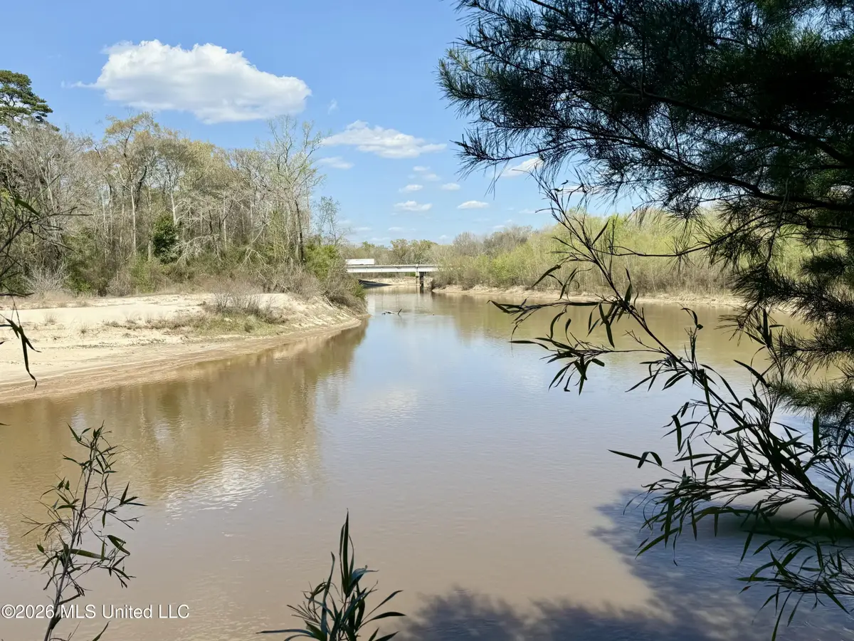 Mississippi 35 Highway, Carthage, MS 39051 - #1