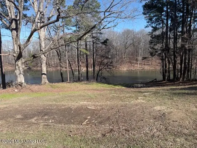 9120 Old Highway 61, Walls, MS 38680 - #3