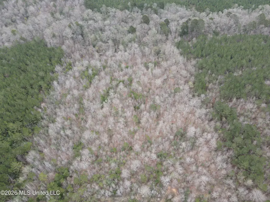 2573 SE Pricedale Drive, Bogue Chitto, MS 39629 - #3