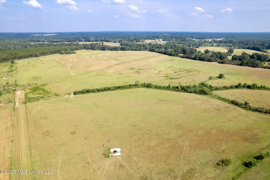 Lot#2 Grady Lewis Road, Poplarville, MS 39470 - #2