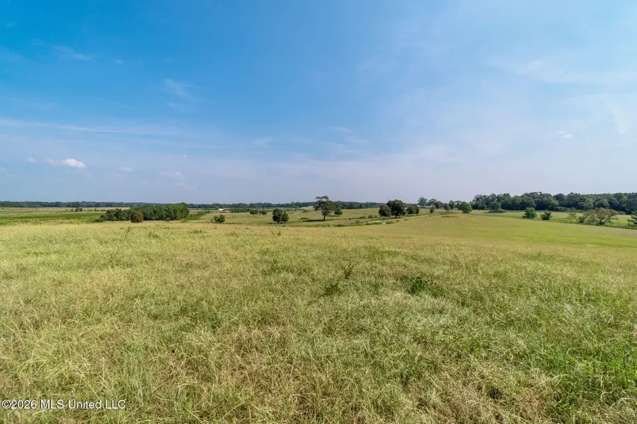 Lot #4 Grady Lewis Road, Poplarville, MS 39470 - #2