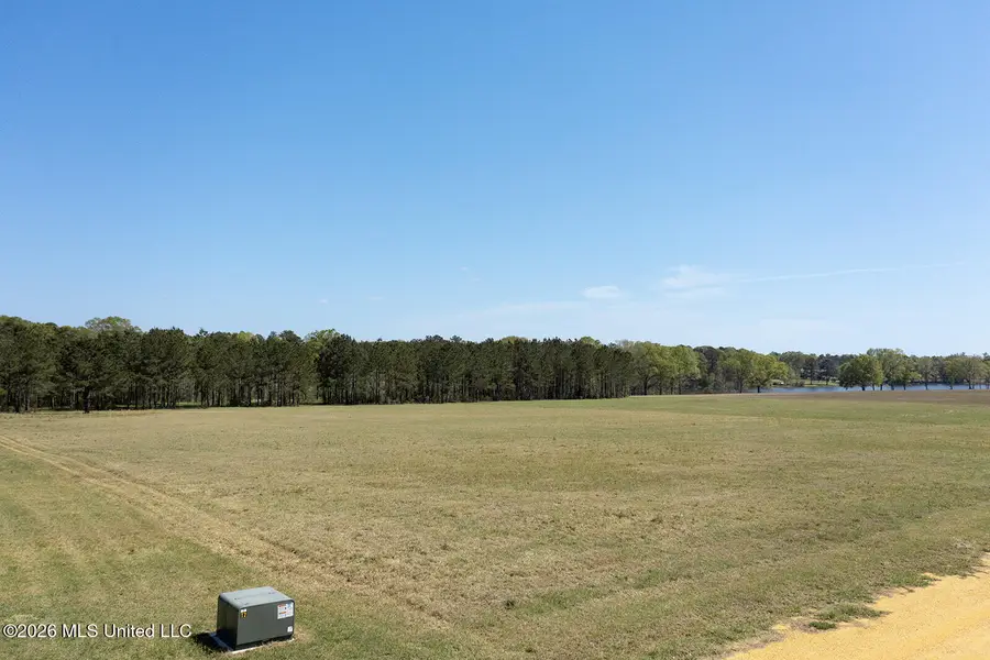 Lot #4 Lenora Drive, Carriere, MS 39426 - #2