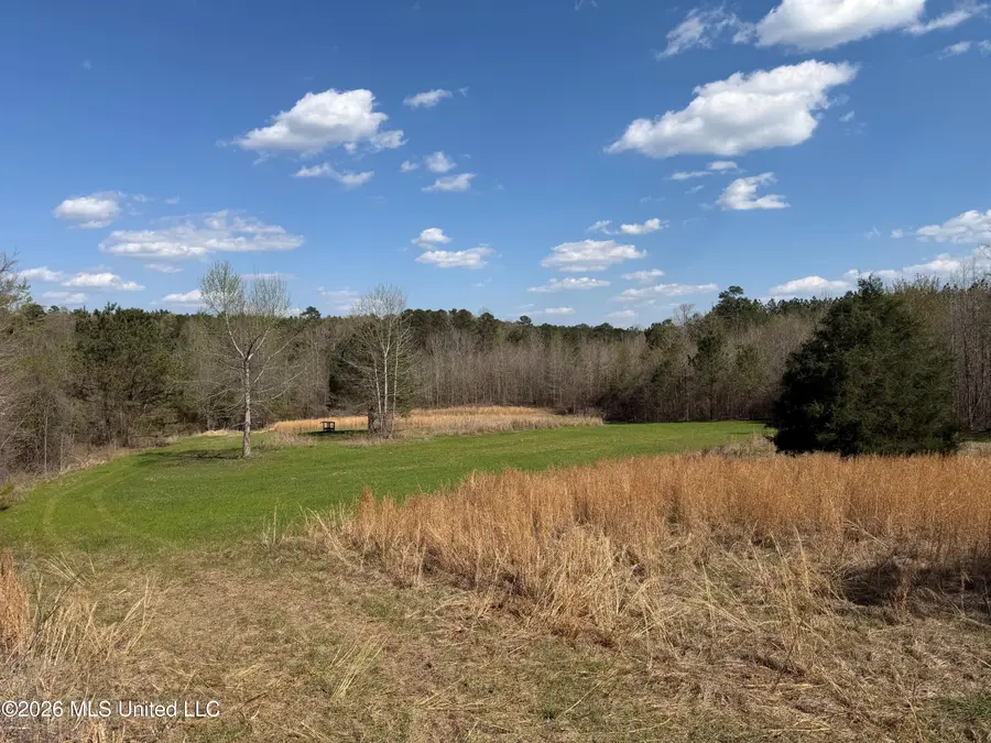 Fairchild Road, Meridian, MS 39307 - #2