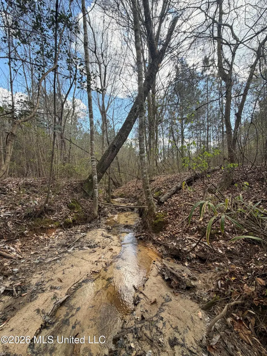 Fairchild Road, Meridian, MS 39307 - #3