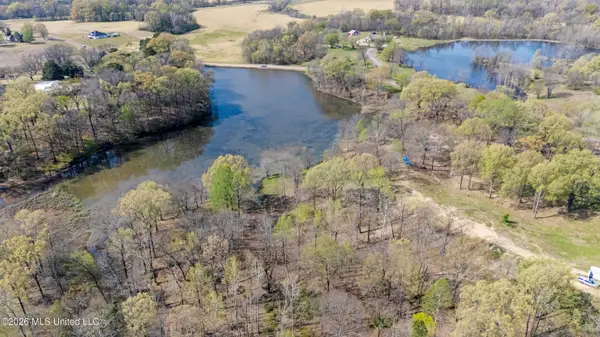 4234 Delta View Road, Lake Cormorant, MS 38641