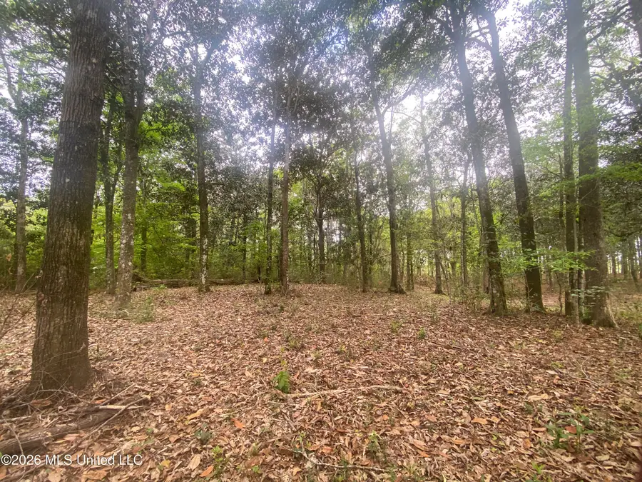 Donniebrook Lane, Escatawpa, MS 39552 - #3