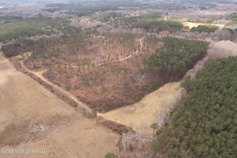 Cutts Road, Ackerman, MS 39735 - #2