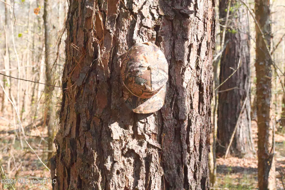 County Road 2277, McCool, MS 39108 - #1