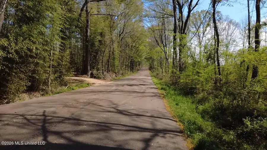 1256 Barnes Rd Road, Canton, MS 39046 - #2