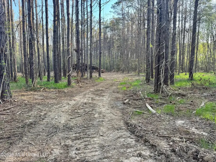 Tbd County Road 493, Paris, MS 38949 - #3
