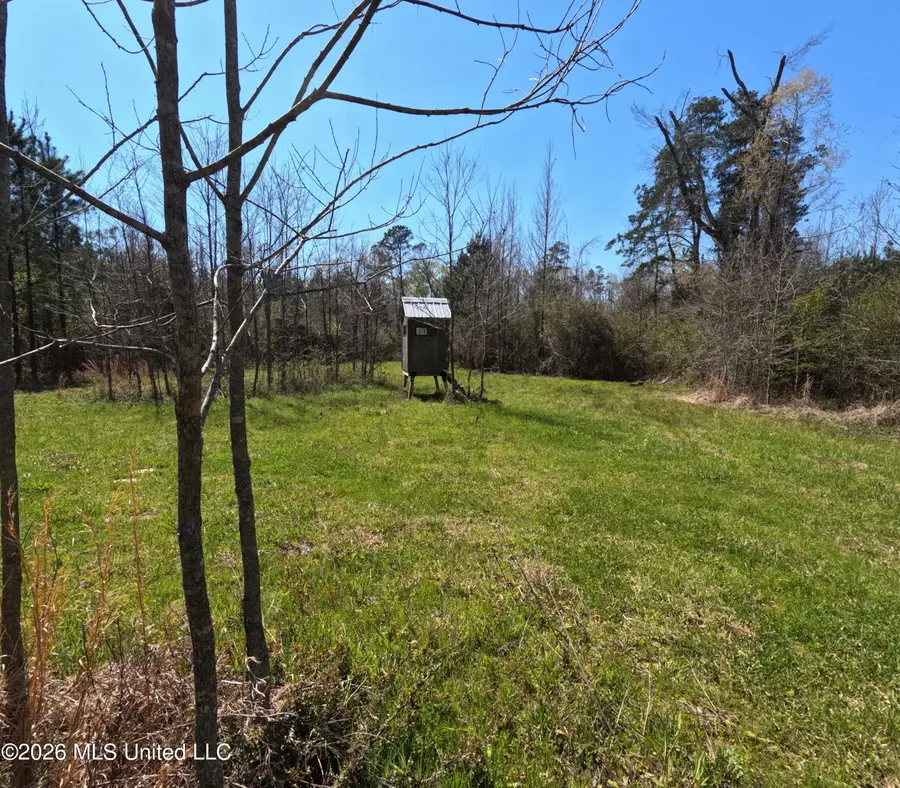 17565 Ms-27, Utica, MS 39175 - #3