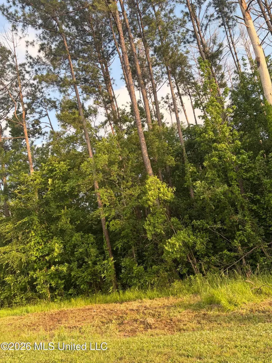 Airport Road, Flowood, MS 39232 - #2