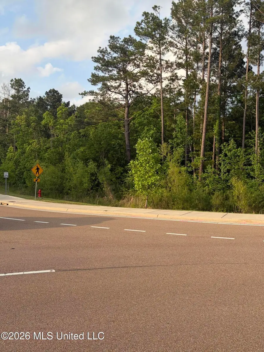 Airport Road, Flowood, MS 39232 - #3