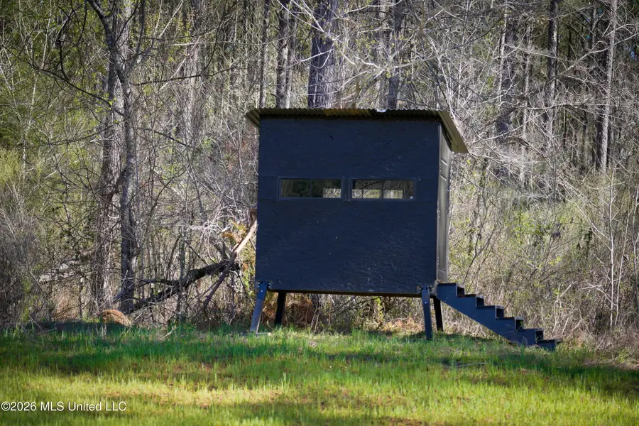 0 N Putnam Road, Pickens, MS 39146 - #2