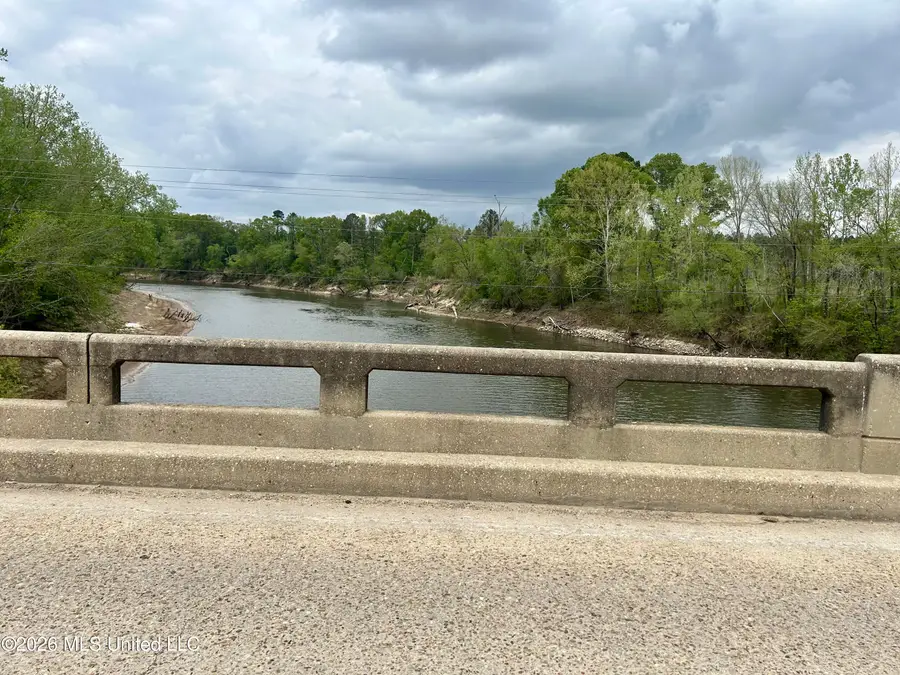 Highway 184, Silver Creek, MS 39663 - #2