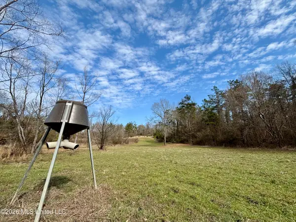 Ms-35, Vaiden, MS 39176