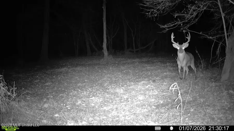 Ms-35, Vaiden, MS 39176 - #2