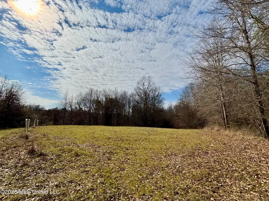 Ms-35, Vaiden, MS 39176 - #3