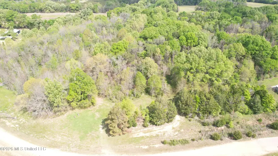 150 Central Boulevard, Flora, MS 39071 - #2