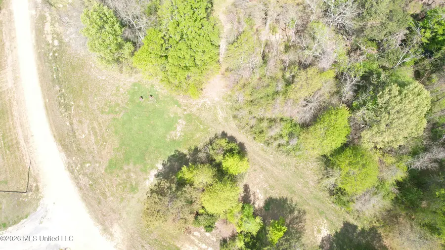 150 Central Boulevard, Flora, MS 39071 - #3