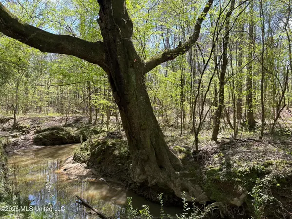 SW Auburn Drive, Bogue Chitto, MS 39629