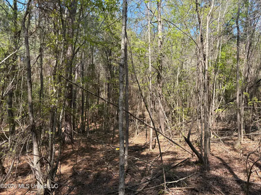 SW Auburn Drive, Bogue Chitto, MS 39629 - #3