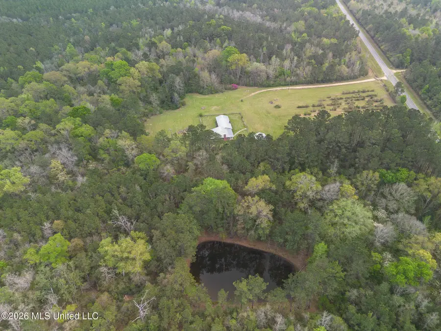 124 Turp Maples Road, Perkinston, MS 39573 - #2