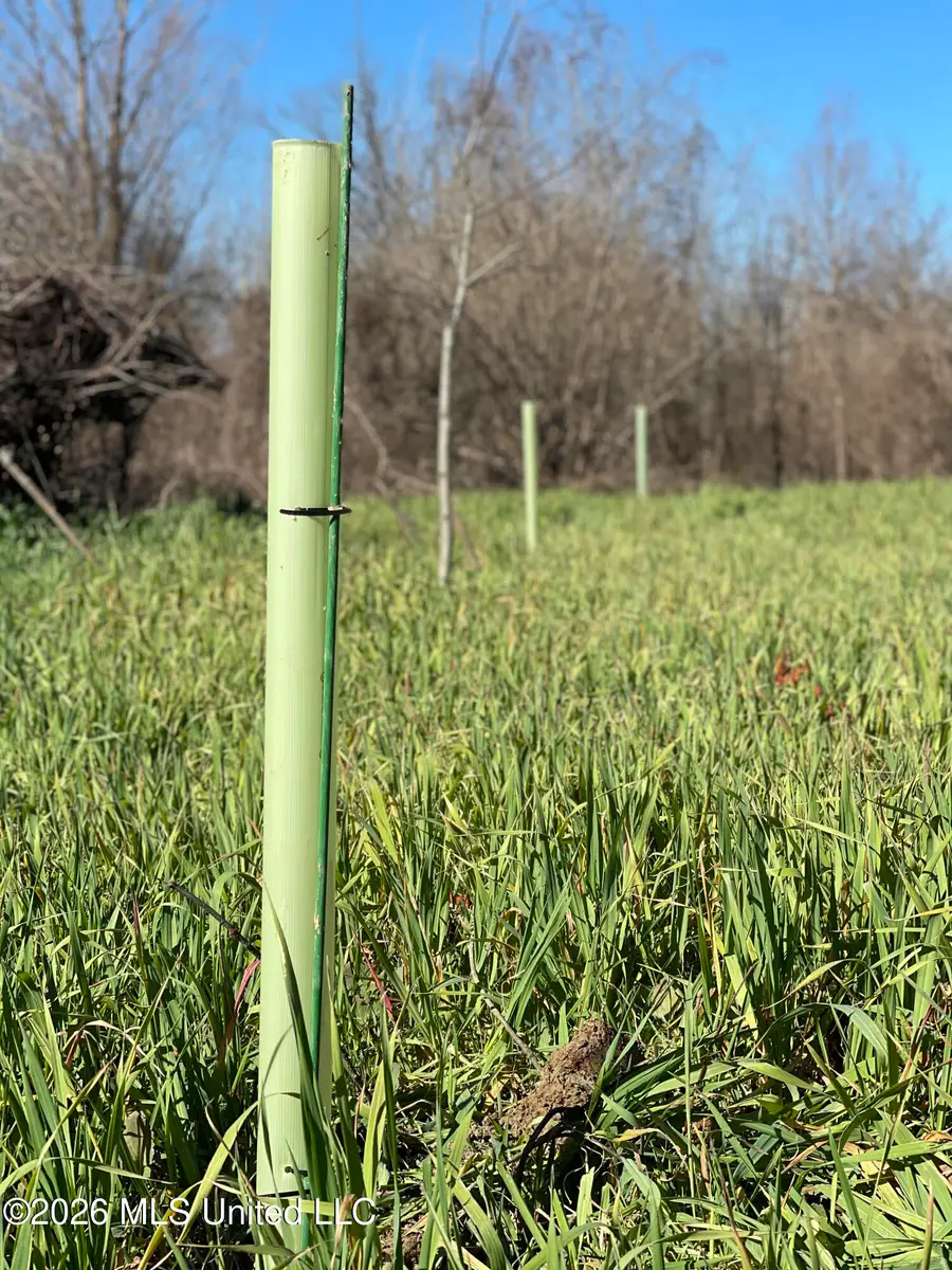 Old Twin Lake Road, Redwood, MS 39156 - #2