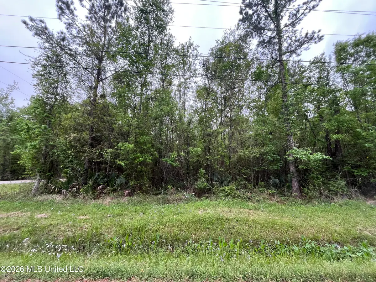 Lot 1 Cedar Drive, Pearlington, MS 39572 - #1