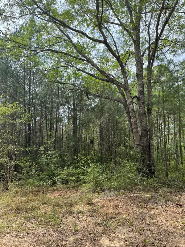 21 Range Line Road, Perkinston, MS 39573