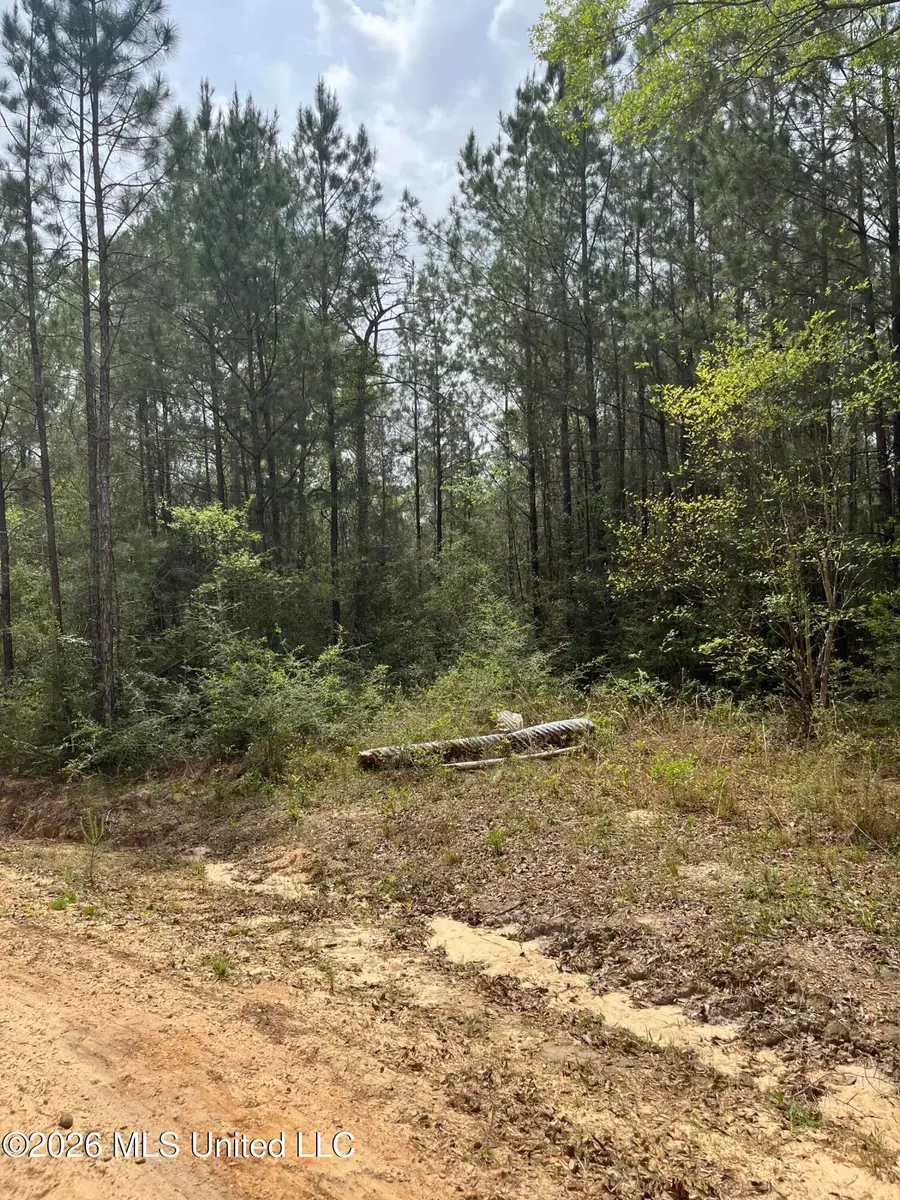 21 Range Line Road, Perkinston, MS 39573 - #2