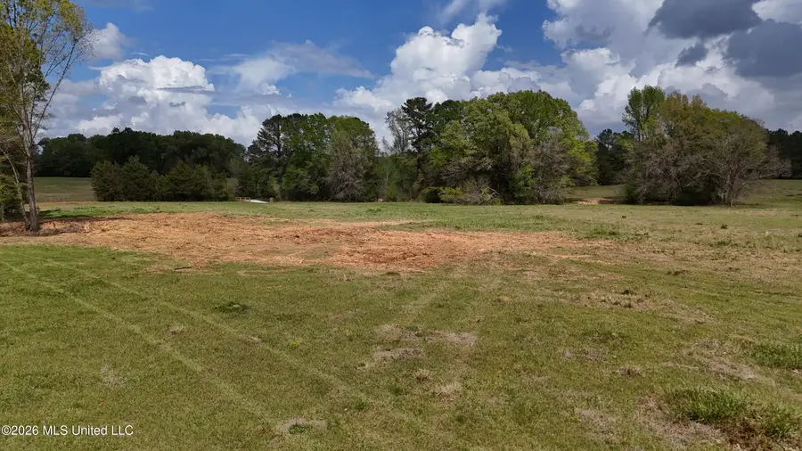 Sulphur Springs, Canton, MS 39046 - #2