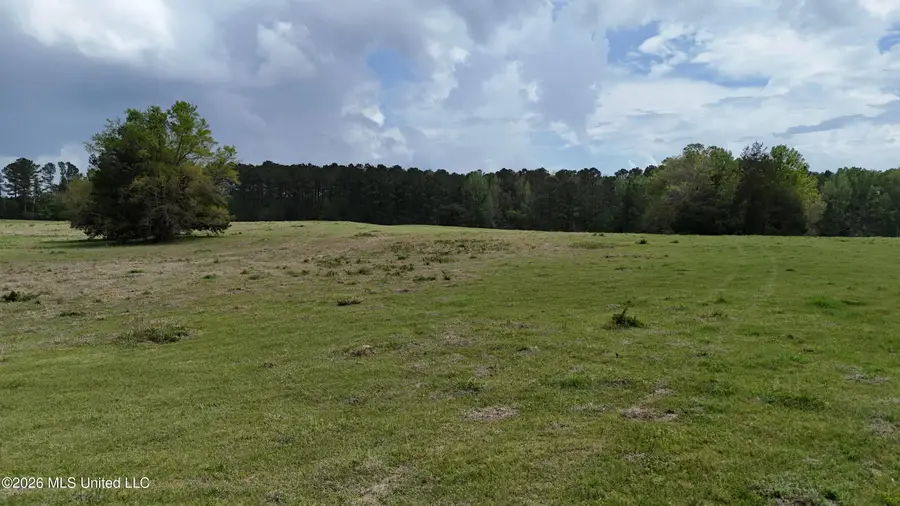 Sulphur Springs, Canton, MS 39046 - #3