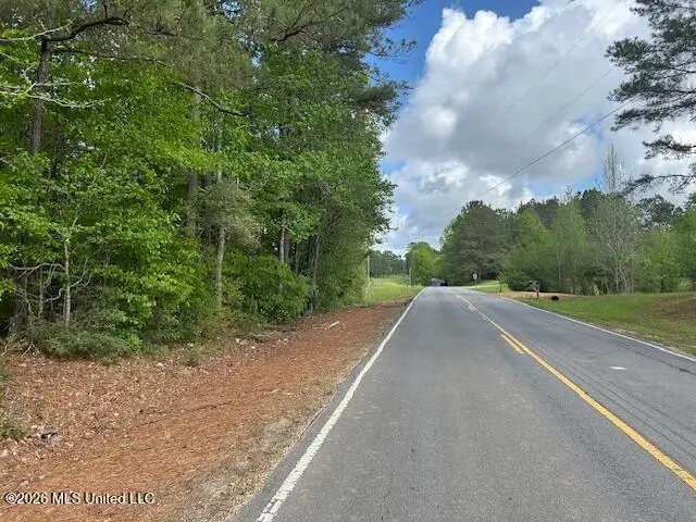 Airline Highway, Tylertown, MS 39667 - #1