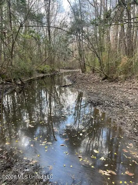 Airline Highway, Tylertown, MS 39667 - #3