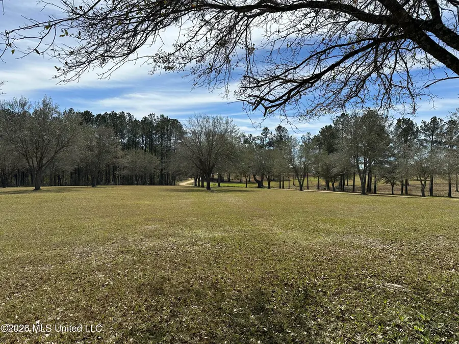 Nhn N New Arbor Road, Poplarville, MS 39470 - #2