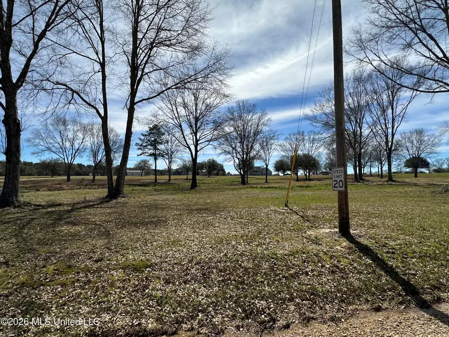 New Arbor Road, Poplarville, MS 39470 - #3