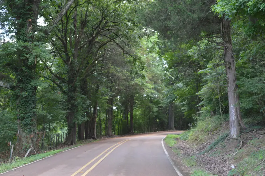 10 Plank Road, Hernando, MS 38632 - #3
