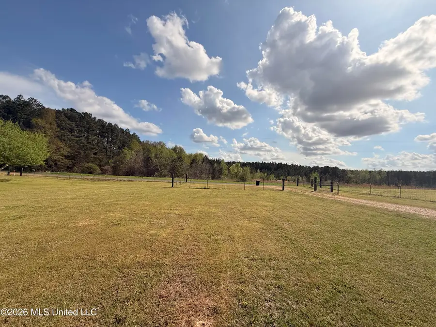 573 Alred Road, Coldwater, MS 38618 - #3