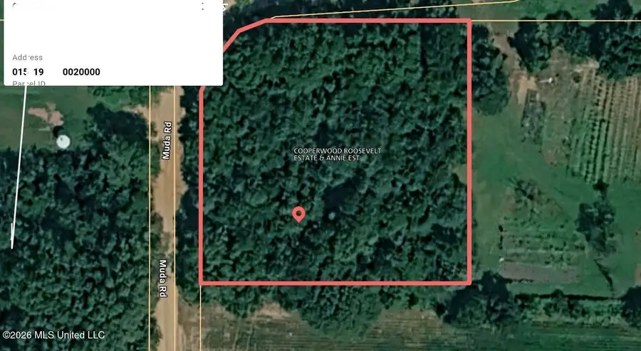 Muda Road, West Point, MS 39773 - #2