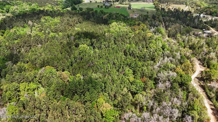 0 Pete Dixon Road, Lucedale, MS 39452 - #2