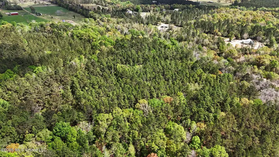 0 Pete Dixon Road, Lucedale, MS 39452 - #3