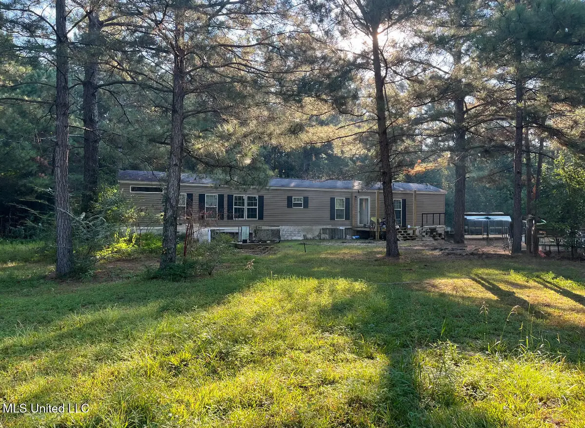 40 Lizie Lane, Mount Olive, MS 39119 - #1