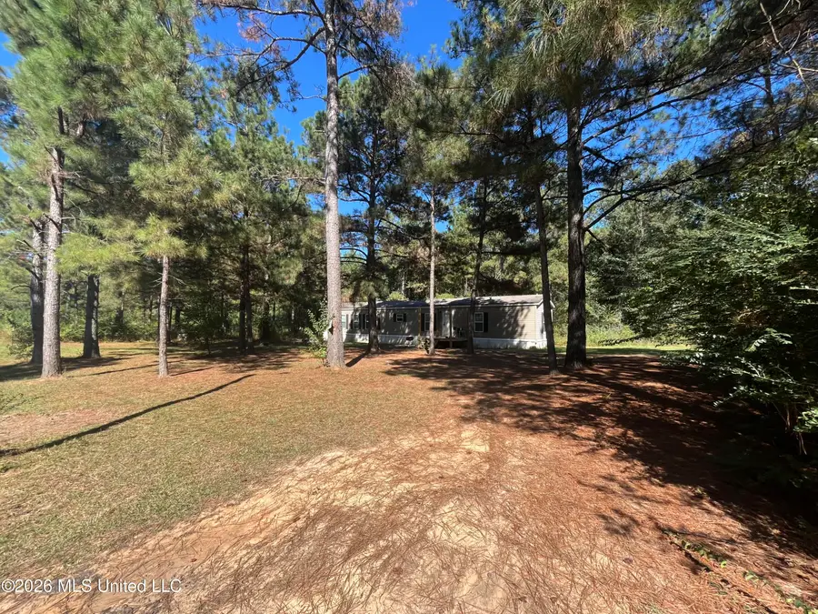 40 Lizie Lane, Mount Olive, MS 39119 - #2