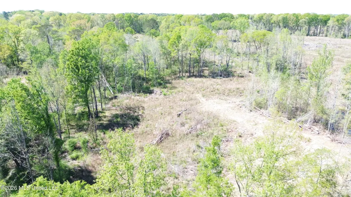 Pettey Road, Forest, MS 39074 - #1