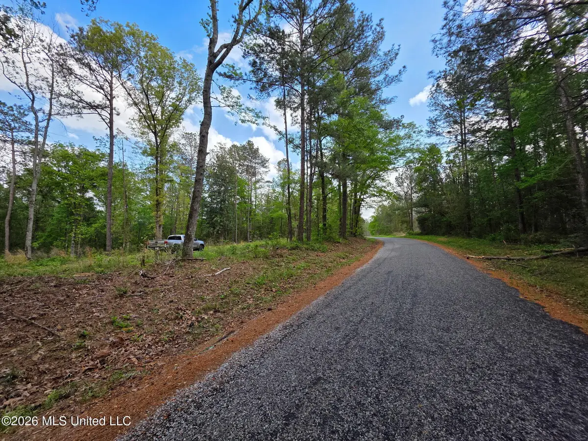 1967 Smith Cr 53 Drive, Mount Olive, MS 39119 - #1